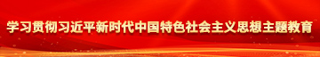 操逼鸡巴网站学习贯彻习近平新时代中国特色社会主义思想主题教育